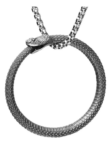 Collar Serpiente Uroboros Vivora Infinito Cadena Dije Snake