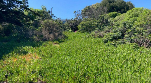 El Pangue Zapallar, Terreno En Primera Línea