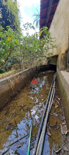 Imagem 6 de 15 de Chácara Para Venda Em Itatiaiuçu - 70523_2-1233756