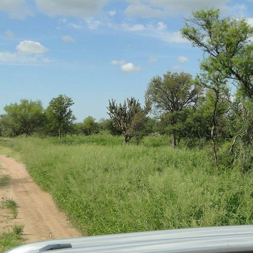 Imagen 10 de 13 de Campo Ganadero 4.300 Has ( San Francisco Del Chañar. Cba )