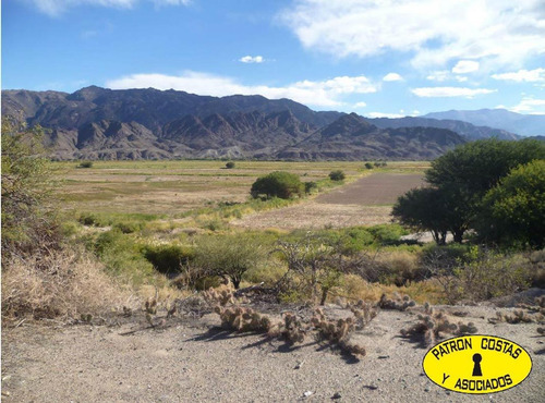 Imagen 4 de 22 de 2054hp-24000 Has Molinos Con Riego