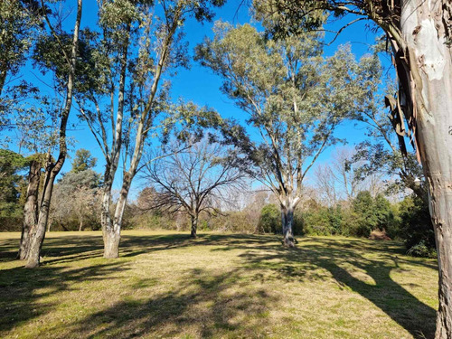 Imagen 9 de 14 de Terreno En Venta 1800m2 Con Excelente Arboleda