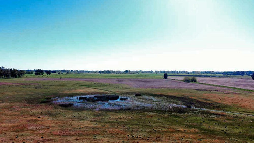 Imagen 4 de 10 de Campo Mixto De 46 Has - La Porteña, Lobos