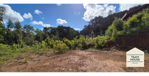 Parcela Condomio Los Aromos (torobayo) Valdivia