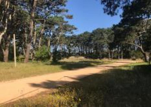 Imagen 1 de 5 de Terreno En Rincon Del Indio A Pocas Cuadra De La Playa Brava - Punta Del Este Rincón Del Indio