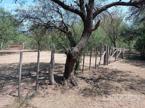 Imagen 21 de 27 de Campo - Punta De Agua