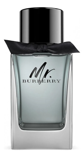 Burberry Mr Burberry Edt 100ml 