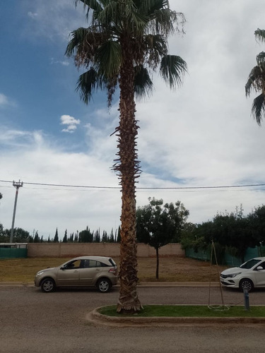 Lote Sol Andino 1