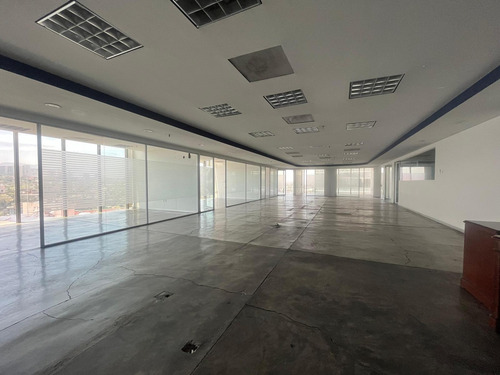 Oficina En Renta - Paseo De La Reforma - 584.4m2 - Piso 6