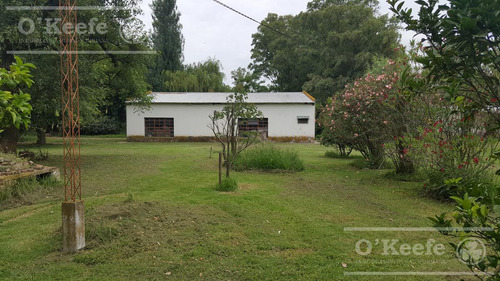 Imagen 14 de 17 de Campo En Venta 780 Has Mixto En Chascomus- 90 % Clase Iii.