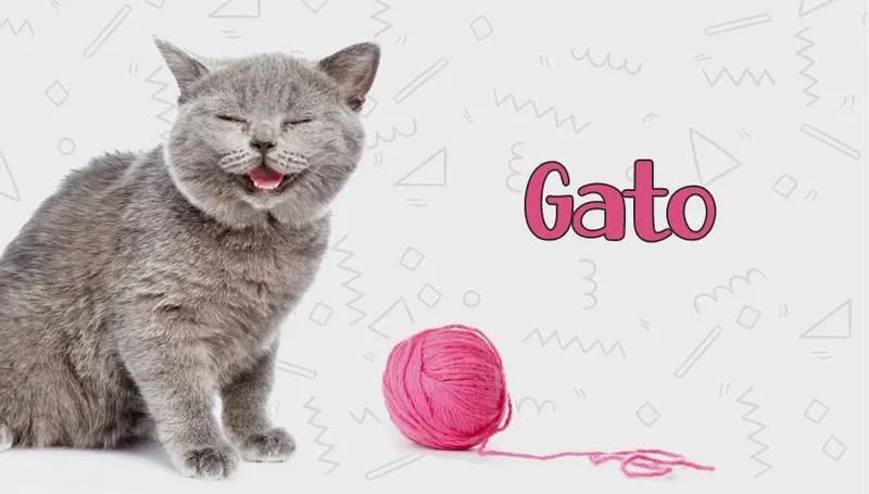 Gatos