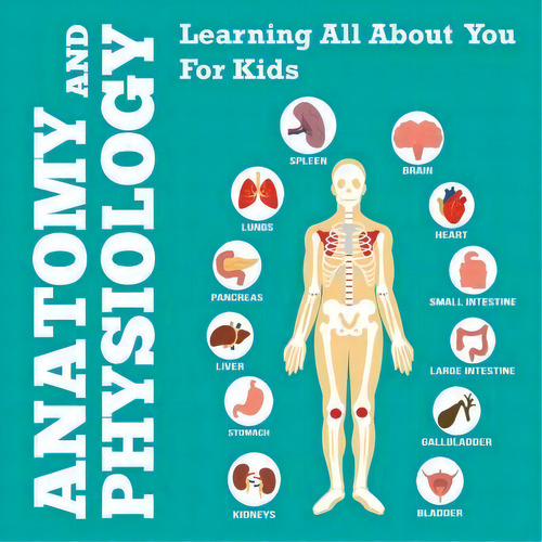 Anatomy And Physiology : Learning All About You For Kids, De Speedy Publishing Llc. Editorial Speedy Publishing Books, Tapa Blanda En Inglés