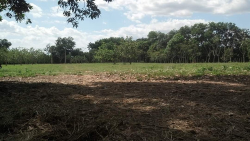 Finca Ganadera En Hatillo Monte Plata Con Acto De Venta Cuenta De 62800 Metros 100 Tareas 