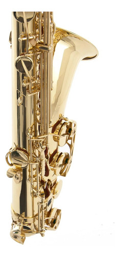 Saxofón Tenor Rousseau (high Level) - Bb Modelo Jbts-100l