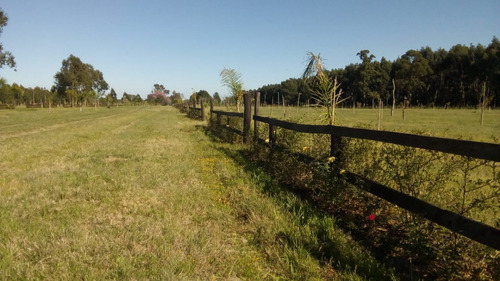 Imagen 4 de 14 de Villa Renata Arroyo Vega - Esquina - Corrientes - Argentina