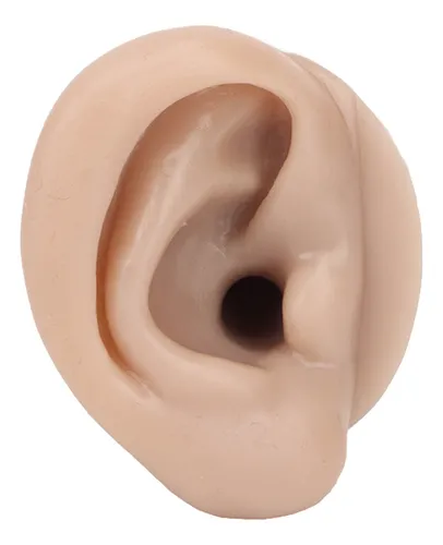 Simulador De Perforación De Silicona, Modelo De Práctica, Su