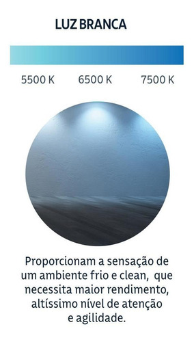 Imagem 2 de 3 de Lampada Led Bulbo 9w Branca Fria Bivolt 110/220v 1 Lâmpada