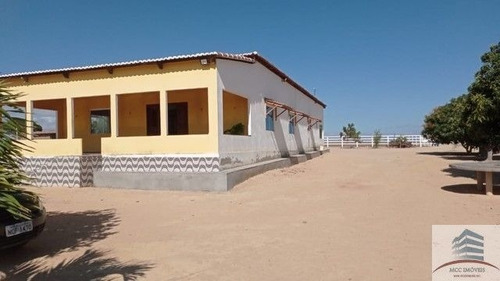 Imagem 6 de 18 de Granja A Venda Lagoa Nova