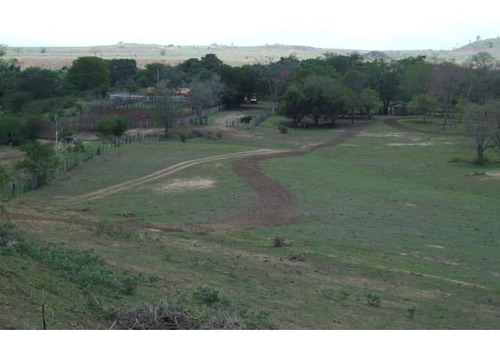 Imagen 5 de 9 de Venta De Finca En Los Cardones Ve02-021lc-mt