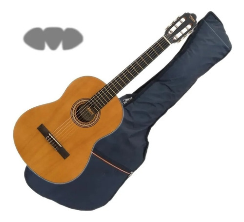 Guitarra Clásica Valencia Vc204 + Funda Y Púas!