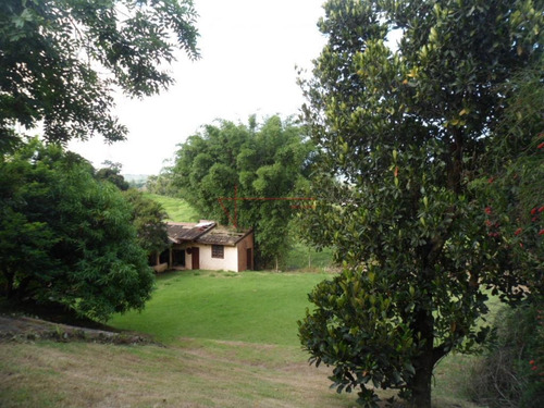 Chácara Com 5 Dormitórios, 3500 M² - Venda Por R$ 2.490.000,00 Ou Aluguel Por R$ 12.000,00/mês - Pinheirinho - Vinhedo/sp - Ch0057