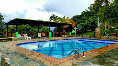 Imagen 2 de 20 de Vendo Hermosa Finca Camilo C Fredonia