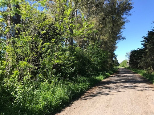 Imagen 8 de 12 de Terreno En Venta En San Antonio De Areco