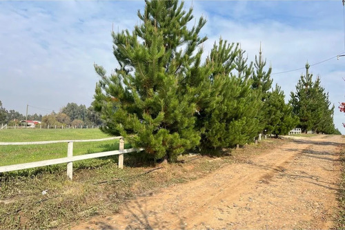 Se Vende Sitio 5000 M2 Loteo Haras De Huiquilemu