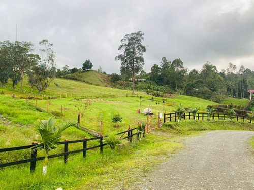 Imagen 1 de 14 de Espectacular Lote En Venta Pacho