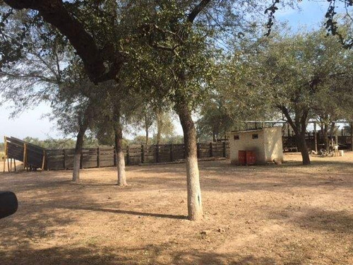 Imagen 11 de 18 de Venta Campo En Santiago Del Estero, Norte De Monte Quemado