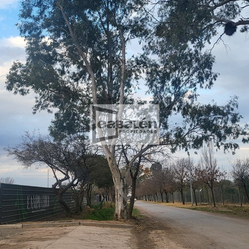 Imagen 2 de 7 de Campo Chico, Lotes En Venta, Zona Sur. De 360 M2 Y 600 M2, Con Seguridad 24hs