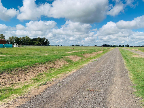 Terreno De 1000 M2 A La Venta En Uribelarrea - Cañuelas