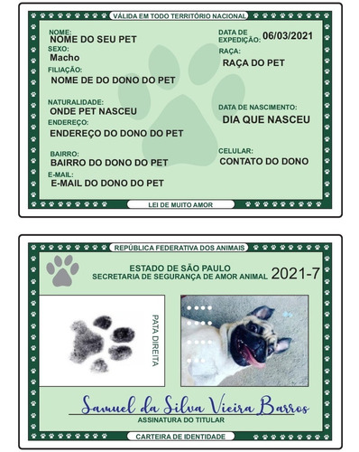 Documento Rg Pet  Cachorro Gato Estimação + 3 Chaveiros