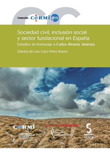 Sociedad Civil, Inclusion Social Y Sector Fundacional En ...