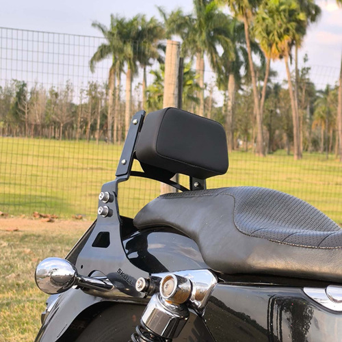 Sissy Bar Drag Star Yamaha (fixo Baixo) Cromado Cor Cromado Escudo Skull