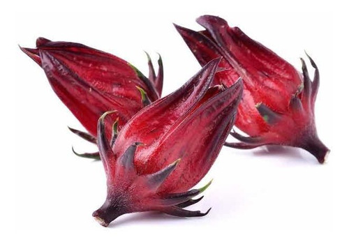 Semillas De Jamaica Hibiscus Flor Comestible Certificadas
