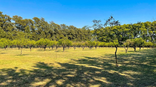 Venta! Terreno De 887 M2 En Azahares Del Paraná.