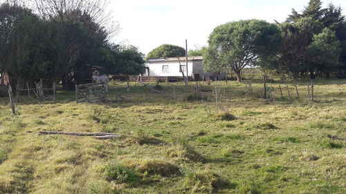8 Hectáreas Con Casa, Chacra En Venta En Canelones