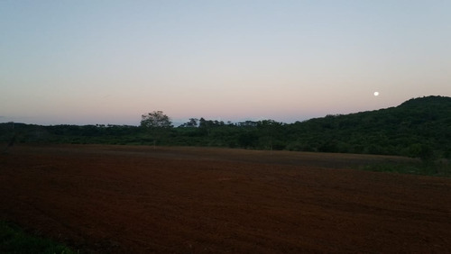 Fazenda Para Venda Em Uberaba Com 218 Hectares, 3 Otimas Casas, Nascentes, Córrego E Rio Na Propriedade, Formada Em Pastagem - Fa00001 - 33262166
