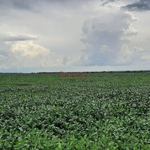 Imagem 2 de 9 de Fazenda A Venda Em Santa Maria Do Tocantins, Com Dupla Aptidão, Por R$ 60 Milhões Com 3.789 Hectares. - Fa00068 - 70732060