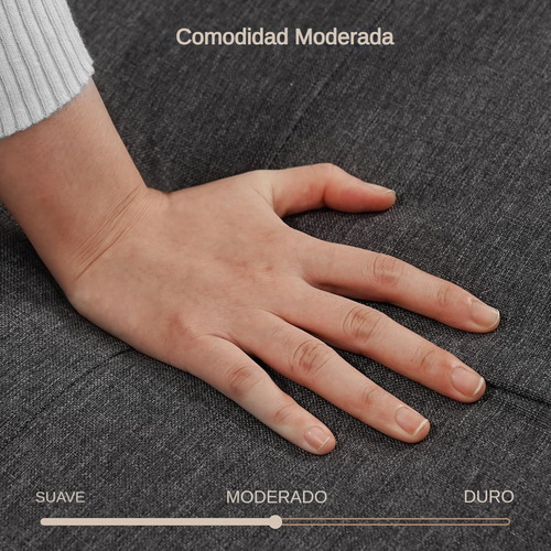 Porik Sofá Cama Sillón De 3 Plazas Con 3 Cómodas Almohadas