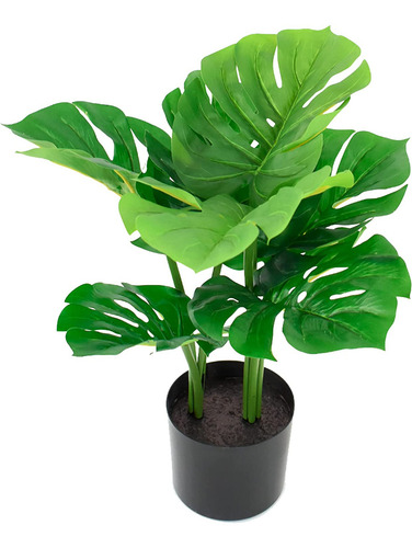 Planta Artificial Decorativa Costilla De Adán Con Base 60cm Color Negro