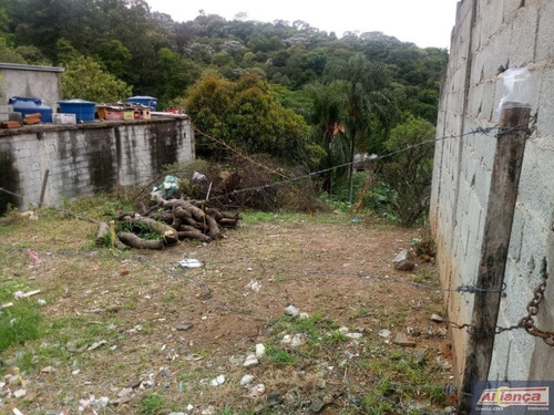 Imagem 3 de 15 de Terreno À Venda, 540 M² - Vila Sítio Dos Morros - Guarulhos/sp - Ai15226