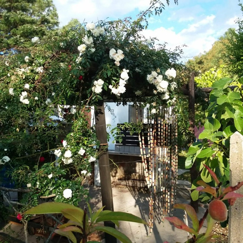 Imagen 8 de 17 de Venta De 2 Casas En Balneario San Luis, Costa De Oro, Canelones, Con Muebles Y Electrodomésticos, Parrilleros, Jardín Y Arboles, Contribución Al Día Y Posible Permuta
