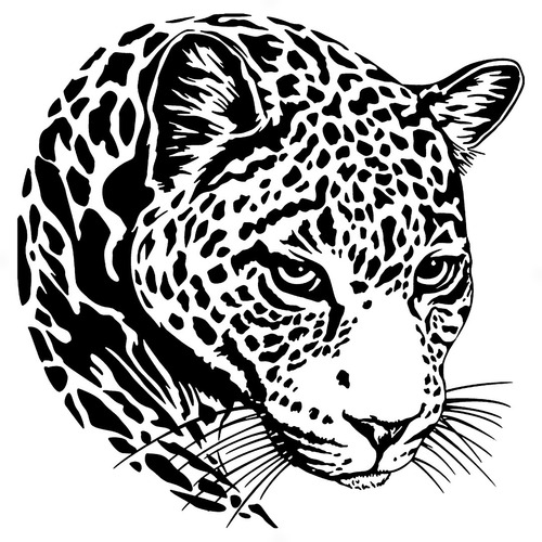 Adesivo 28x27cm - Onça Pintada Jaguar