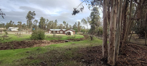 Arriendo Parcela 5.000 M2 Con Casa 5d/1b En Litueche