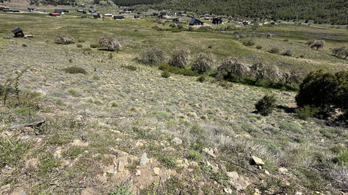 Lote Noregon