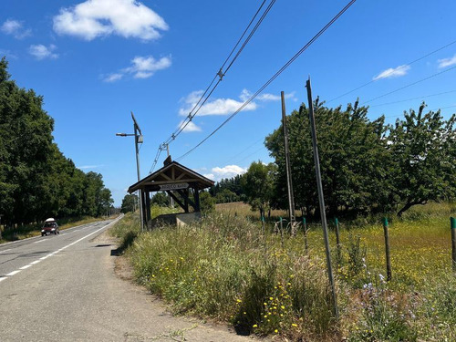 Parcela En Venta En Freire
