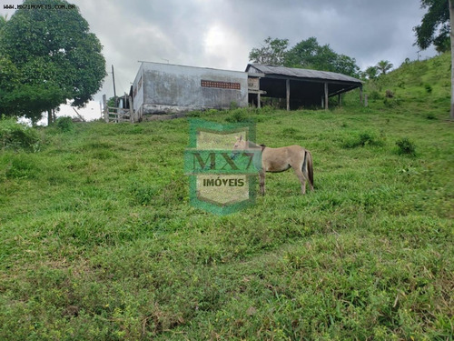 Imagem 12 de 15 de Fazenda Para Venda Em Ubaitaba, Zona Rural - 678_1-1569332