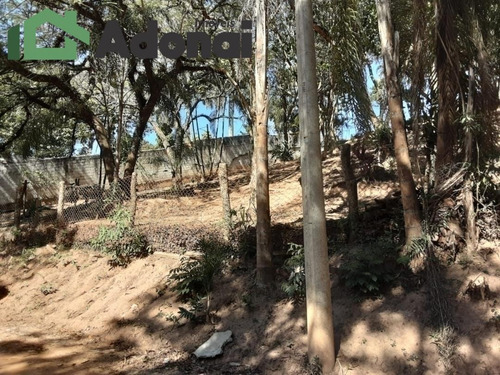 Imagem 10 de 13 de Chácara Próximo A Campo Limpo Pta, Figueira Branca - 1017
